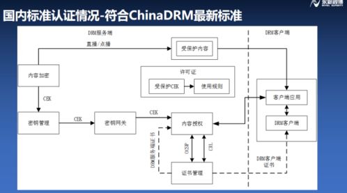 浦江論道 永新視博李自東談符合融媒體安全的版權(quán)保護系統(tǒng)，構(gòu)建IPTV行業(yè)健康生態(tài)